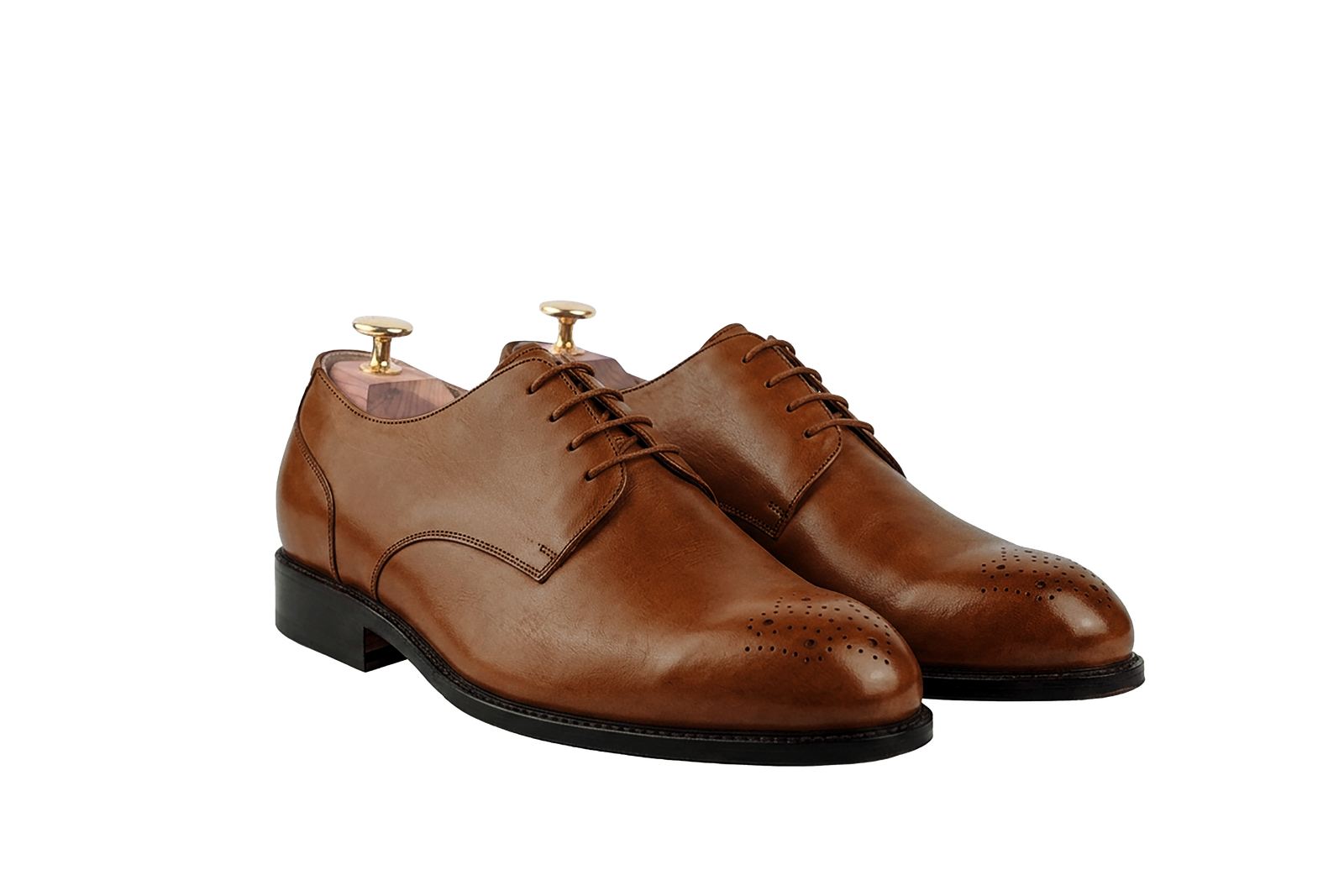 Brown colour for The Danube (Full Brogue) (Seoul Last)