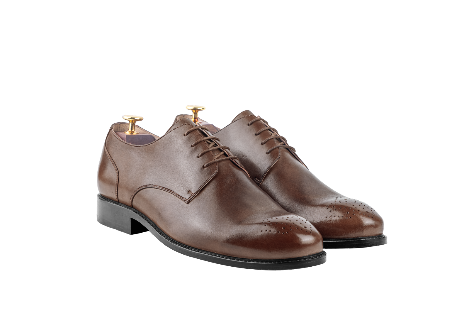 Dark Brown colour for The Danube (Full Brogue) (Jaipur Last)