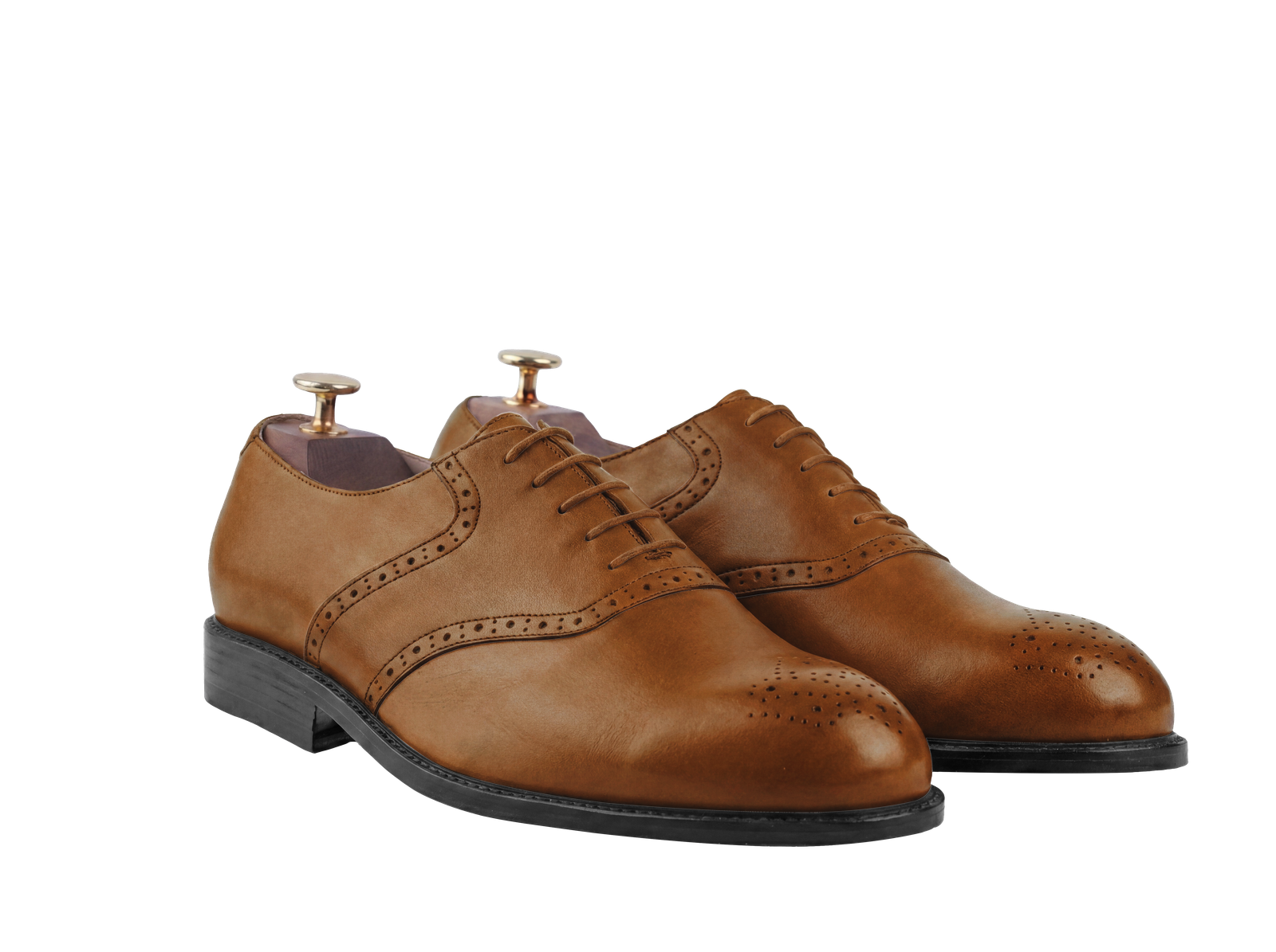 Tan colour for The Aravalli (Full Brogue) (Seoul Last)