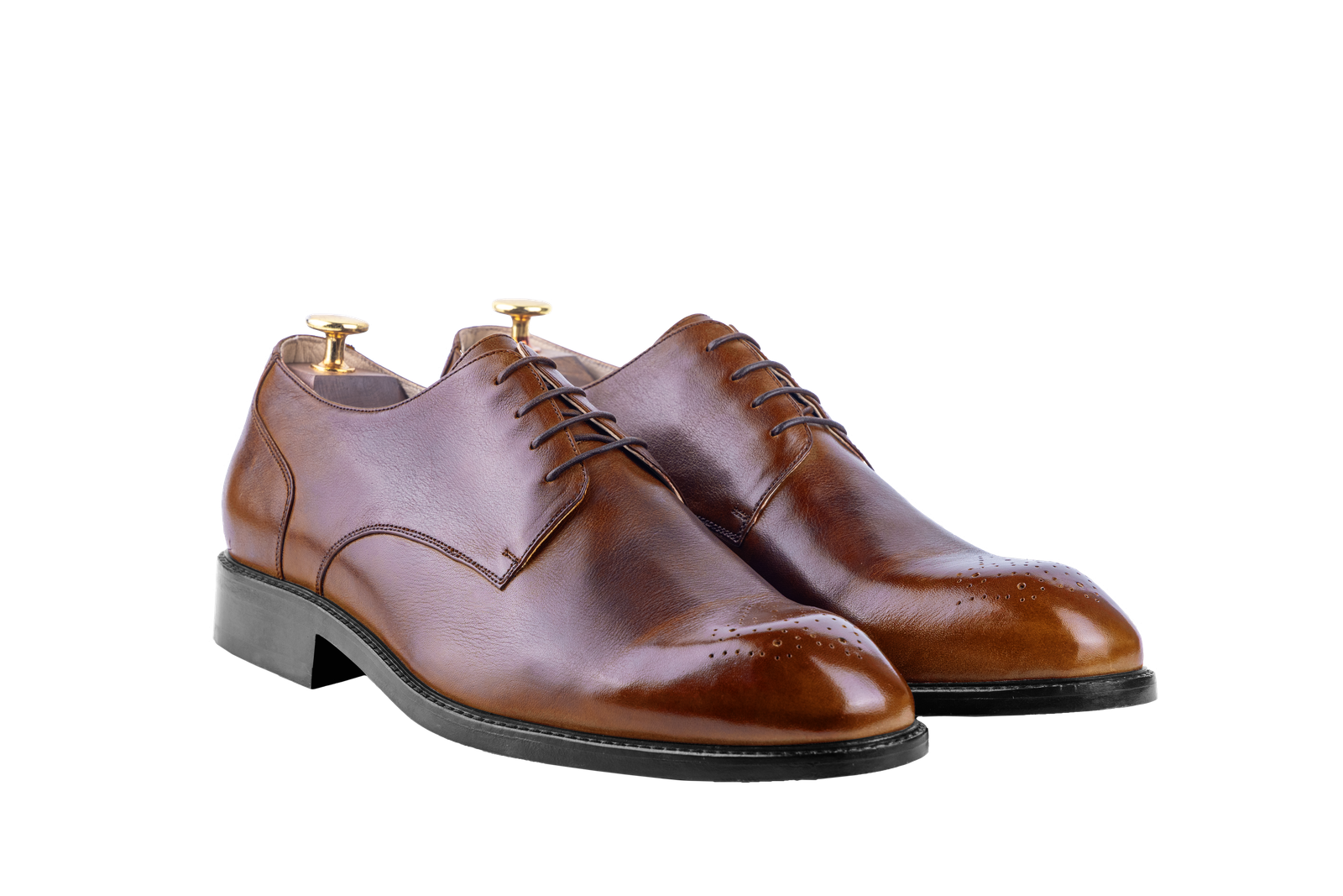 Brown colour for The Danube (Full Brogue) (Kochi Last)