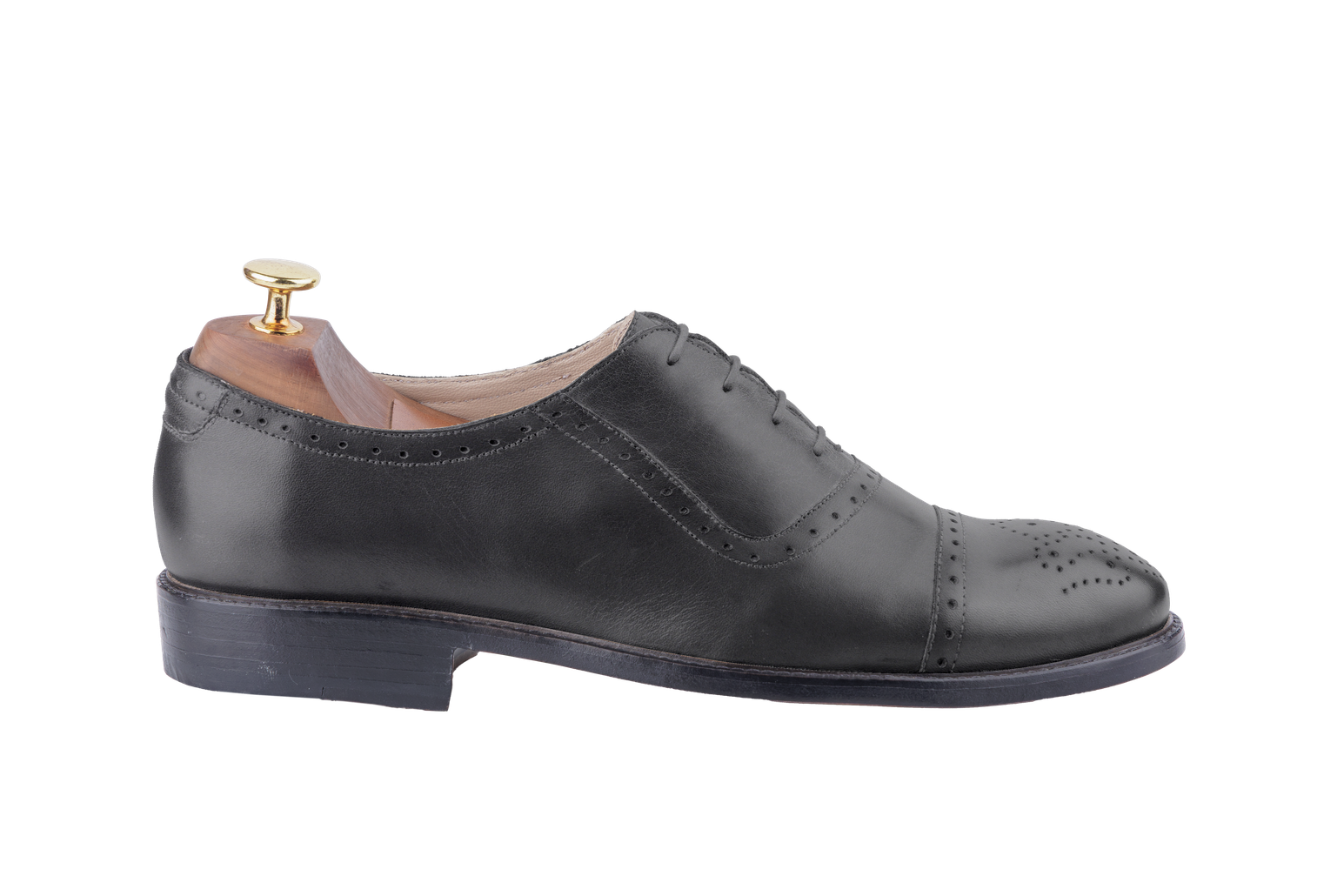 The Andes (Full Brogue) (Jaipur Last) 2